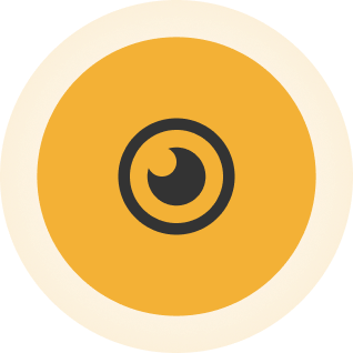 Vision Icon